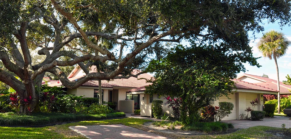 Street view of Carriage Houses with large live oak tree