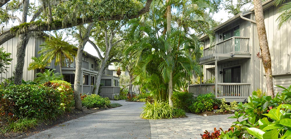 View looking down street with Treehouses condos and decks on each side